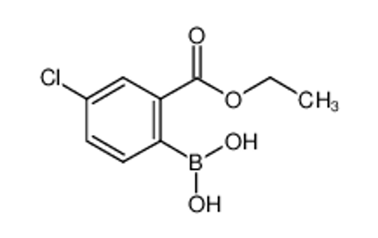 Picture of (4-chloro-2-ethoxycarbonylphenyl)boronic acid