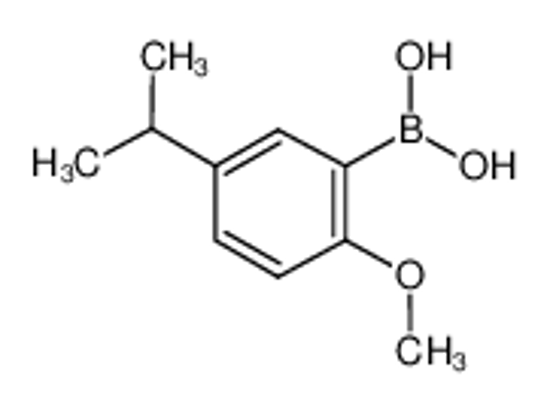 Изображение (2-methoxy-5-propan-2-ylphenyl)boronic acid