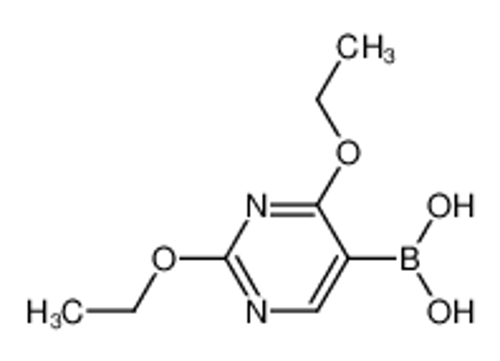 Picture of (2,4-diethoxypyrimidin-5-yl)boronic acid