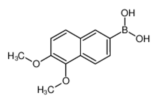 Picture of (5,6-dimethoxynaphthalen-2-yl)boronic acid