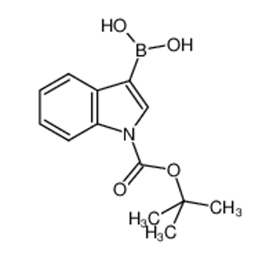 Picture of 1-(TERT-BUTOXYCARBONYL)INDOLE-3-BORONIC ACID