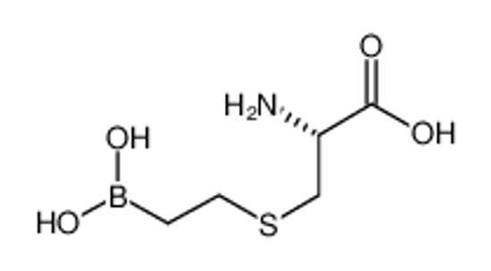 Picture of (2R)-2-amino-3-(2-boronoethylsulfanyl)propanoic acid