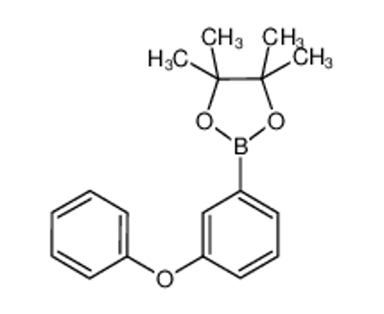 Изображение 4,4,5,5-tetramethyl-2-(3-phenoxyphenyl)-1,3,2-dioxaborolane
