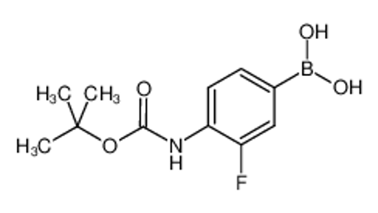 Picture of [3-fluoro-4-[(2-methylpropan-2-yl)oxycarbonylamino]phenyl]boronic acid