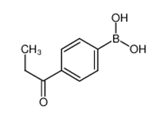 Picture of (4-propanoylphenyl)boronic acid