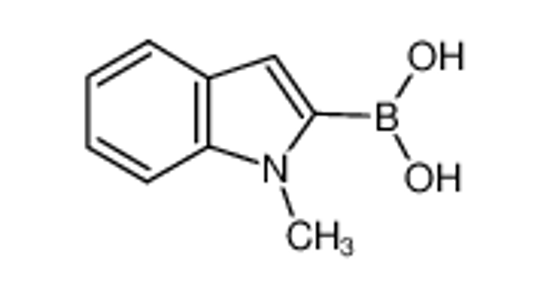 Picture of (1-methylindol-2-yl)boronic acid