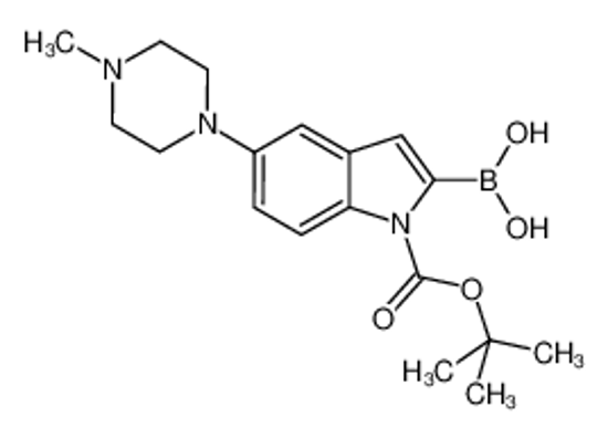 Imagem de [5-(4-methylpiperazin-1-yl)-1-[(2-methylpropan-2-yl)oxycarbonyl]indol-2-yl]boronic acid
