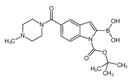 Imagem de [5-(4-methylpiperazine-1-carbonyl)-1-[(2-methylpropan-2-yl)oxycarbonyl]indol-2-yl]boronic acid