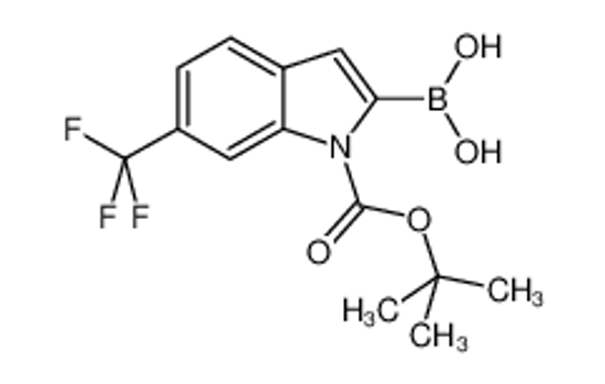 Picture of 1H-Indole-1-carboxylic acid, 2-borono-6-(trifluoromethyl)-, 1-(1,1-dimethylethyl) ester (9CI)