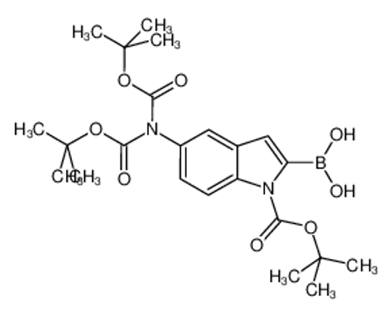 Picture of 1H-Indole-1-carboxylic acid, 5-[bis[(1,1-dimethylethoxy)carbonyl]amino]-2-borono-, 1-(1,1-dimethylethyl) ester (9CI)