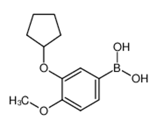 Picture of (3-cyclopentyloxy-4-methoxyphenyl)boronic acid