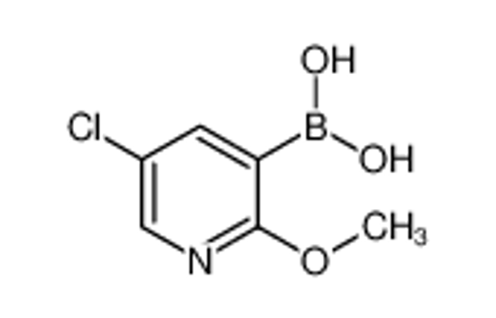 Picture of (5-Chloro-2-methoxypyridin-3-yl)boronic acid