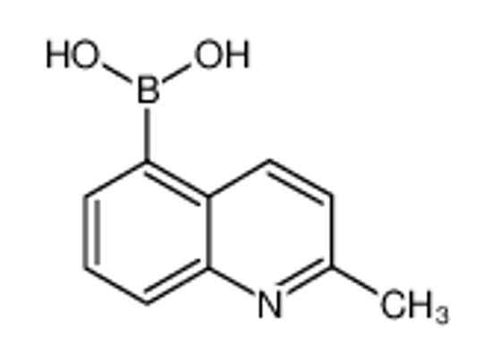 Picture of (2-METHYLQUINOLIN-5-YL)BORONIC ACID