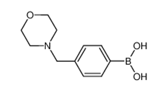 Picture of [4-(morpholin-4-ylmethyl)phenyl]boronic acid