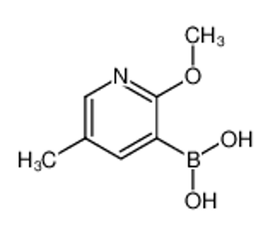 Изображение (2-methoxy-5-methylpyridin-3-yl)boronic acid