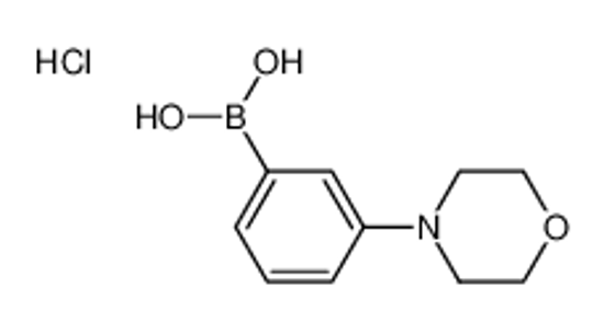 Picture of (3-Morpholinophenyl)boronic acid hydrochloride