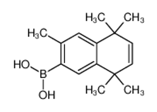Picture of (3,5,5,8,8-pentamethylnaphthalen-2-yl)boronic acid
