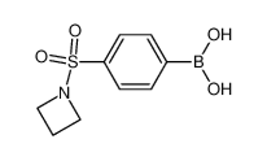 Picture of [4-(azetidin-1-ylsulfonyl)phenyl]boronic acid