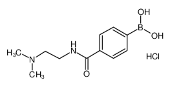 Picture of (4-((2-(Dimethylamino)ethyl)carbamoyl)phenyl)boronic acid hydrochloride