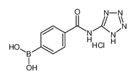 Picture of (4-((1H-Tetrazol-5-yl)carbamoyl)phenyl)boronic acid hydrochloride