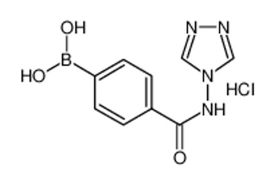 Picture of (4-((4H-1,2,4-Triazol-4-yl)carbamoyl)phenyl)boronic acid hydrochloride