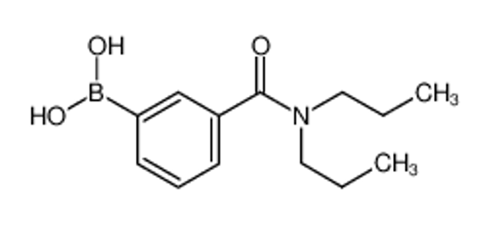 Изображение [3-(dipropylcarbamoyl)phenyl]boronic acid