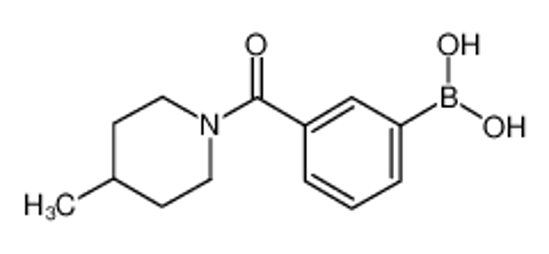 Picture of [3-(4-methylpiperidine-1-carbonyl)phenyl]boronic acid