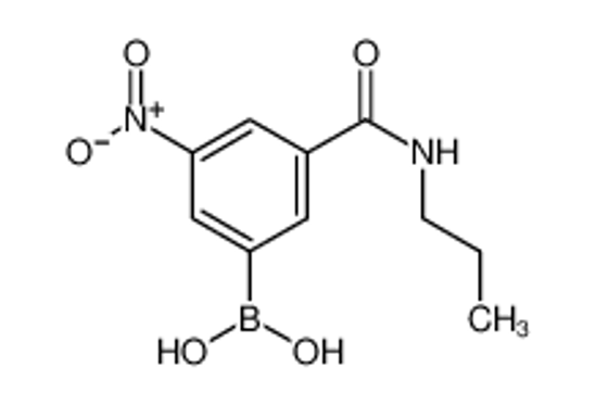 Изображение [3-nitro-5-(propylcarbamoyl)phenyl]boronic acid