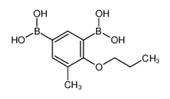 Picture of (3-borono-5-methyl-4-propoxyphenyl)boronic acid