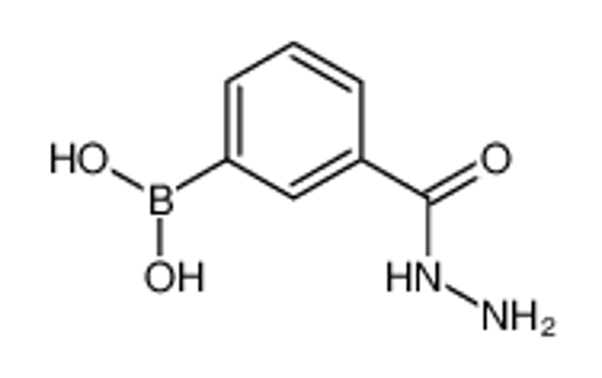 Picture of [3-(hydrazinecarbonyl)phenyl]boronic acid