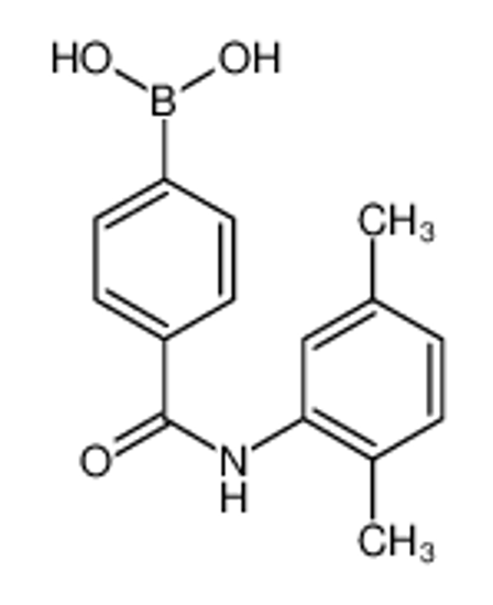 Picture of [4-[(2,5-dimethylphenyl)carbamoyl]phenyl]boronic acid