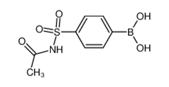 Picture of (4-(N-Acetylsulfamoyl)phenyl)boronic acid