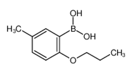 Picture of (5-Methyl-2-propoxyphenyl)boronic acid