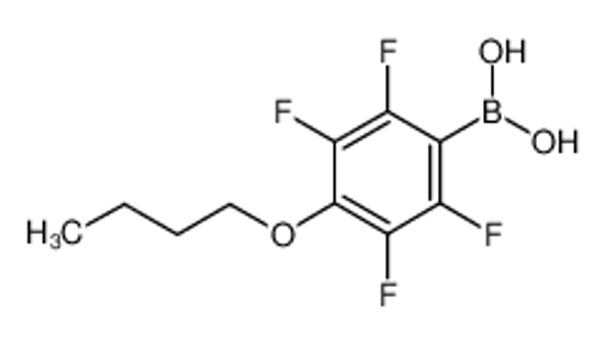 Изображение 4-Butoxy-2,3,5,6-tetrafluorophenylboronic acid