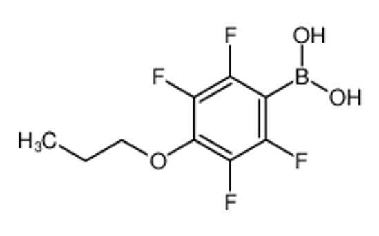 Picture of 4-Propoxy-2,3,5,6-tetrafluorophenylboronic acid