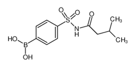 Picture of (4-(N-(3-Methylbutanoyl)sulfamoyl)phenyl)boronic acid