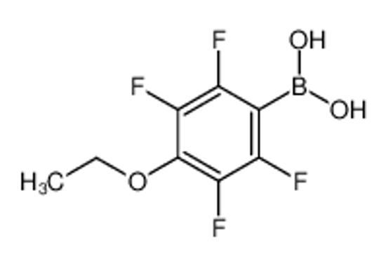 Picture of 4-Ethoxy-2,3,5,6-tetrafluorophenylboronic acid