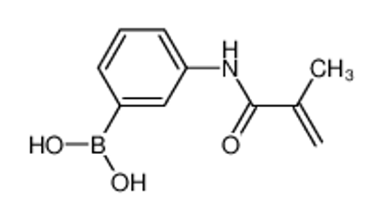 Picture of (3-Methacrylamidophenyl)boronic acid