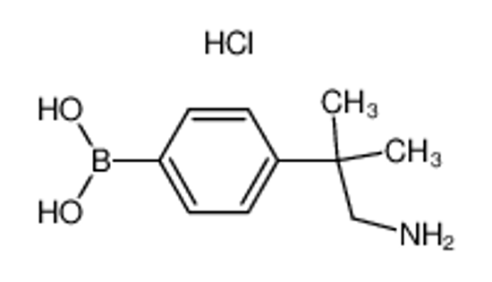 Picture of (4-(1-Amino-2-methylpropan-2-yl)phenyl)boronic acid hydrochloride