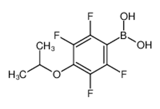 Picture of (2,3,5,6-tetrafluoro-4-propan-2-yloxyphenyl)boronic acid