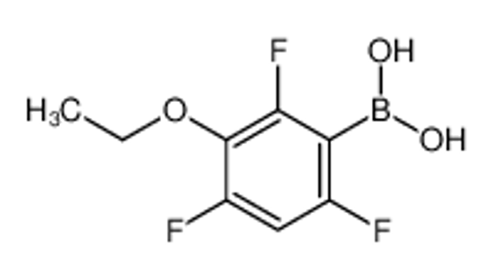 Picture of (3-Ethoxy-2,4,6-trifluorophenyl)boronic acid