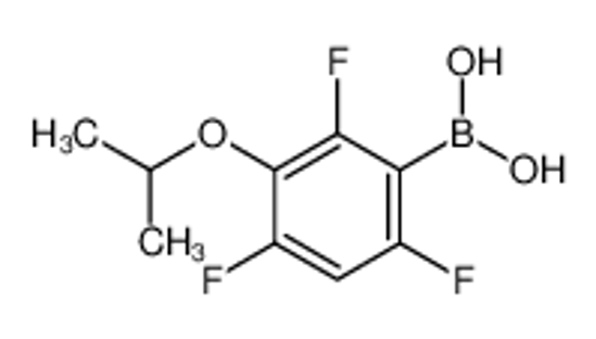Picture of (2,4,6-Trifluoro-3-isopropoxyphenyl)boronic acid