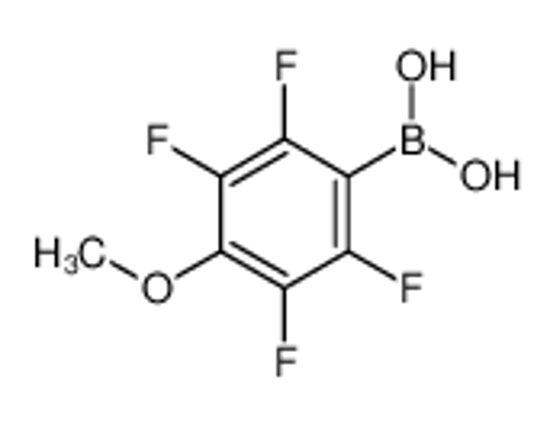 Picture of (2,3,5,6-tetrafluoro-4-methoxyphenyl)boronic acid