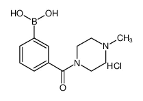 Изображение [3-(4-methylpiperazine-1-carbonyl)phenyl]boronic acid,hydrochloride