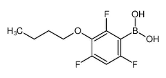Picture of (3-Butoxy-2,4,6-trifluorophenyl)boronic acid