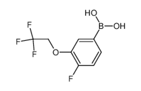 Picture of (4-Fluoro-3-(2,2,2-trifluoroethoxy)phenyl)boronic acid