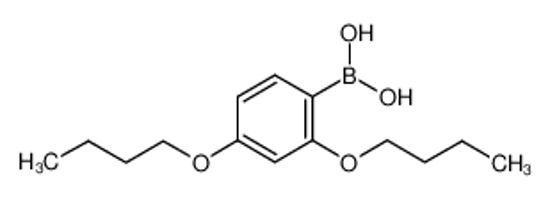 Imagem de (2,4-Dibutoxyphenyl)boronic acid