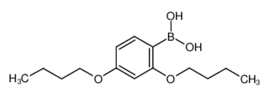 Picture of (2,4-Dibutoxyphenyl)boronic acid