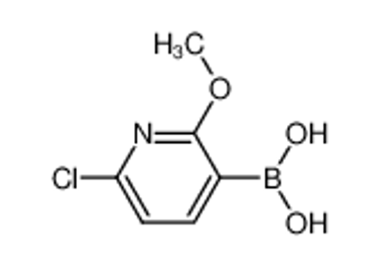 Picture of (6-Chloro-2-methoxypyridin-3-yl)boronic acid