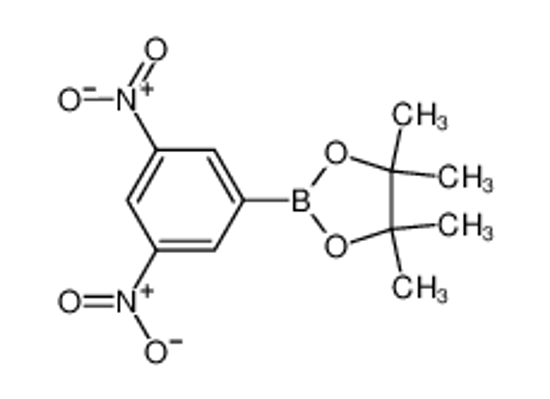 Picture of 3,5-Dinitrophenylboronic acid, pinacol ester
